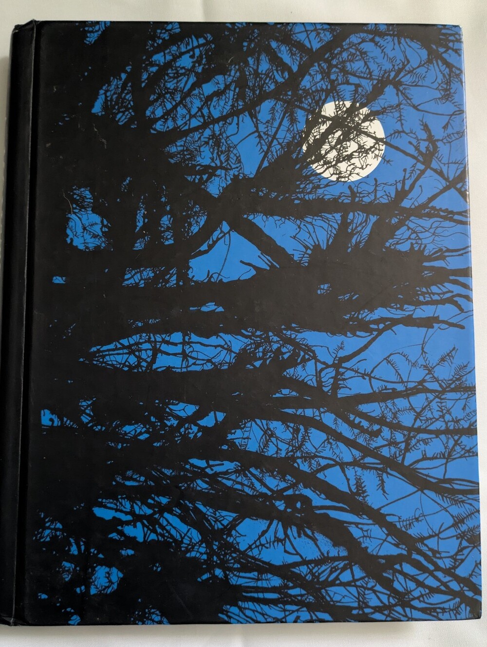 Monster Calls by Patrick Ness,